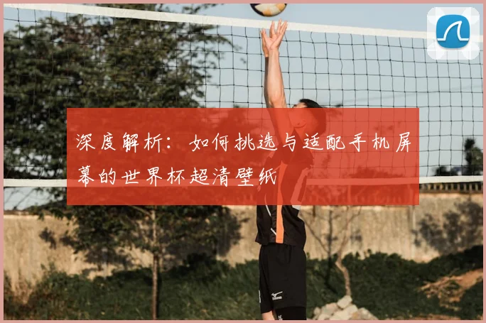 深度解析：如何挑选与适配手机屏幕的世界杯超清壁纸