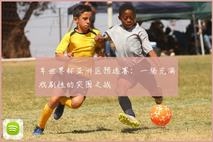 年世界杯亚洲区预选赛：一场充满戏剧性的突围之战