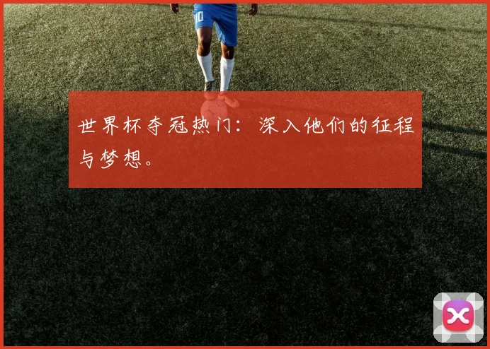 世界杯夺冠热门:深入他们的征程与梦想。