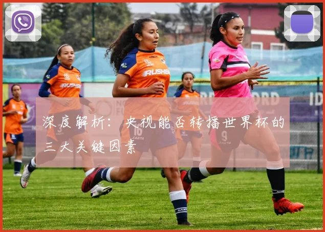 深度解析：央视能否转播世界杯的三大关键因素