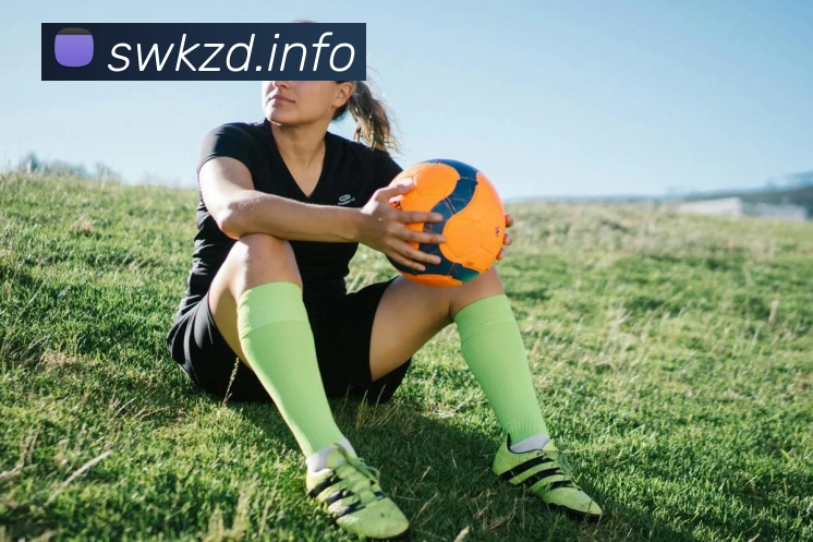 mksports在线登录入口全站App